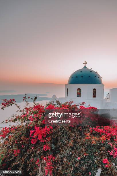 famous traditional blue dome church and red flowers in santorini island, greece thire village at sunset in santorini, greece - greece landscape stock pictures, royalty-free photos & images