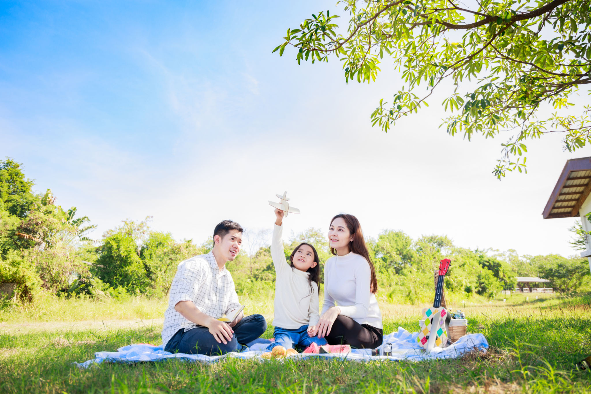 family picnic farm