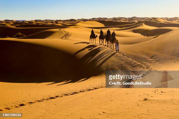 camel convoy - dromedary camel stock pictures, royalty-free photos & images