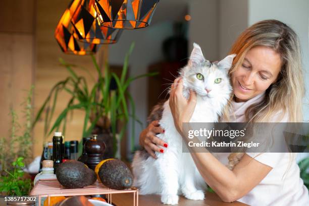 woman hugging her beautiful white maine coon cat - maine coon cat stock-fotos und bilder