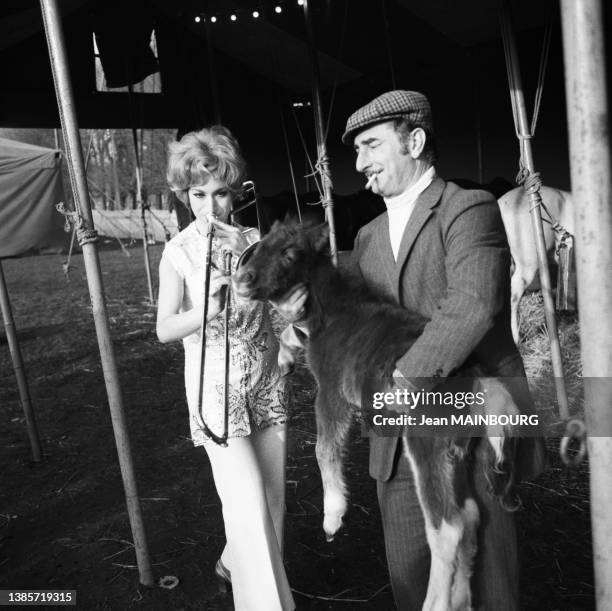 'Achille Zavatta portant un poulain dans son cirque, le 27 mars 1970.