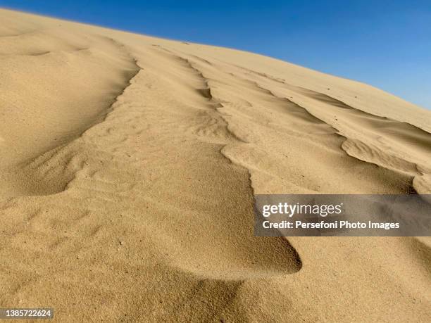 wadi el rayan - egypt desert stock pictures, royalty-free photos & images