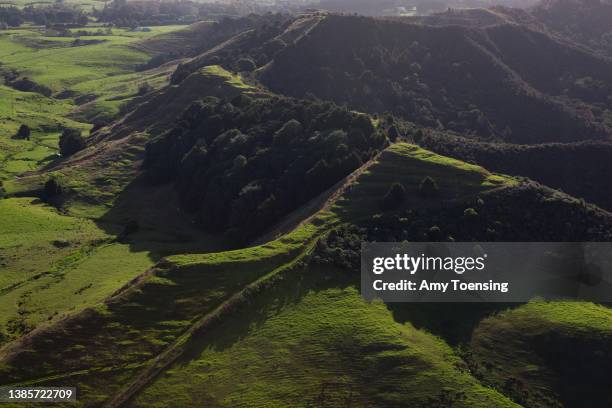Pakaraka Map Pakaraka Photos and Premium High Res Pictures - Getty Images
