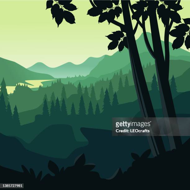 illustrations, cliparts, dessins animés et icônes de belle illustration de forêt, paysage, forêt, jungle - lever de soleil