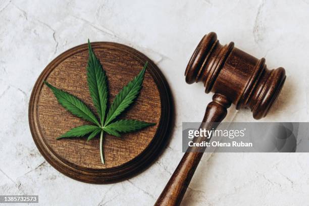 cannabis leaf on sound block and gavel. - marijuana foto e immagini stock