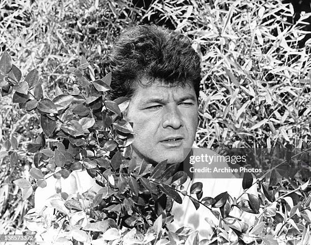 Peter Falk in bushes in a scene from the film 'It's A Mad Mad Mad Mad World', 1963.