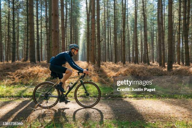 cyclist on a sunny forest trail - cycling uk stock pictures, royalty-free photos & images