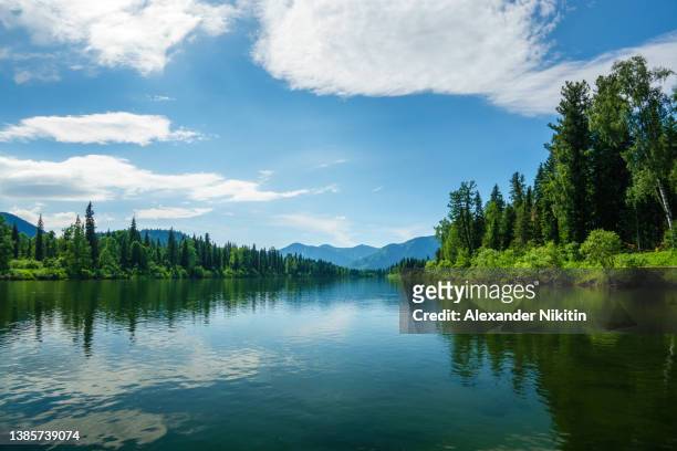 taiga river in july - flowing river stock pictures, royalty-free photos & images