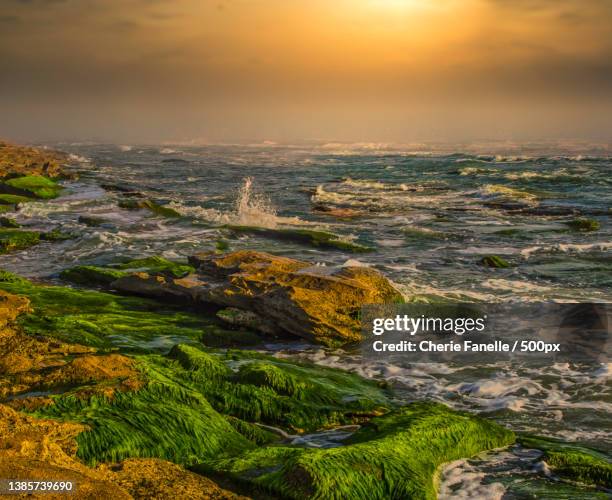 the rocks,scenic view of sea against sky during sunset,palm coast,florida,united states,usa - palm coast, fla stock pictures, royalty-free photos & images