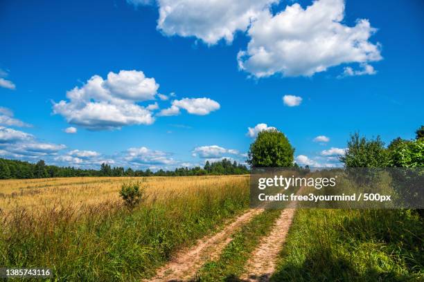 scenic view of agricultural field against sky,braslaw,belarus - braslaw stock pictures, royalty-free photos & images