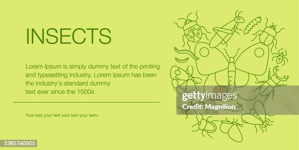 insects web banner composition icons editable stroke - cricket insect stock illustrations
