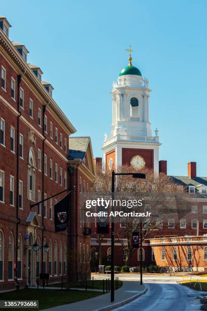 winthrop house and eliot house with green cupola clock tower - harvard university - cambridge massachusetts - cambridge stock pictures, royalty-free photos & images