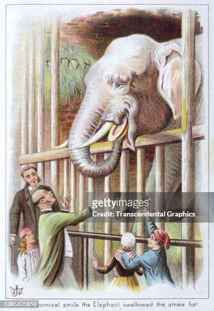 Illustration depicts a zoo scene as an elephant eats a man's straw boater, 1895. It was originally published in London-based magazine called 'Our...