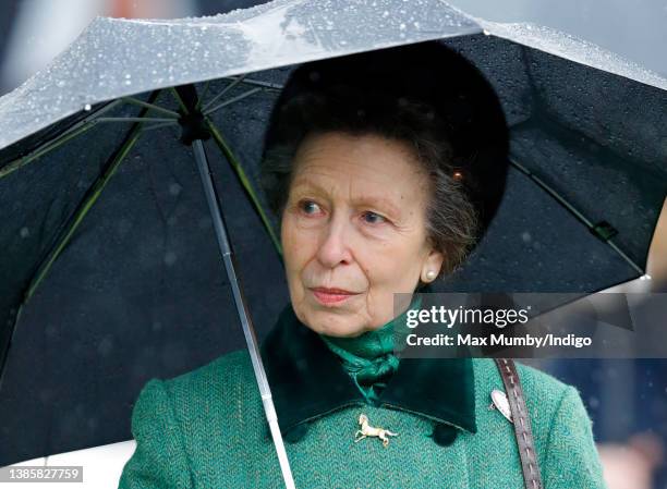 Princess Anne, Princess Royal shelters under an umbrella as she attends day 2 'Ladies Day' of the Cheltenham Festival at Cheltenham Racecourse on...