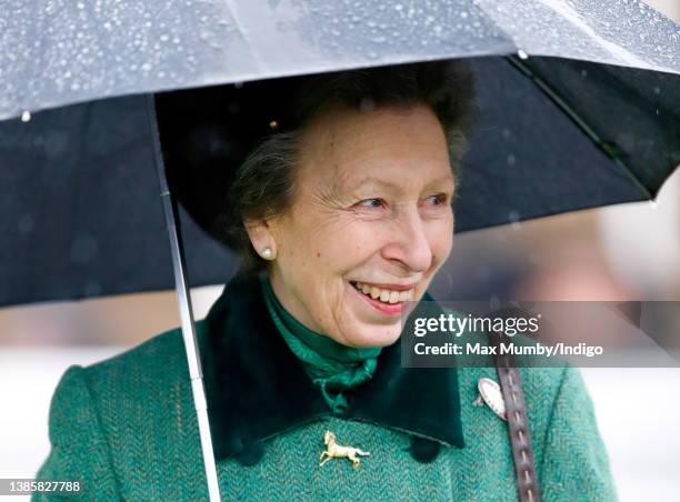 Princess Anne, Princess Royal shelters under an umbrella as she attends day 2 'Ladies Day' of the Cheltenham Festival at Cheltenham Racecourse on...