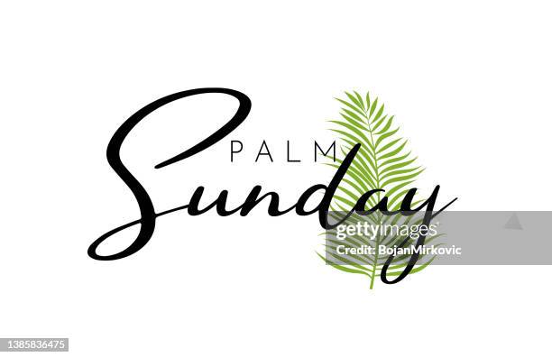 palm sunday lettering  poster, background with palm leaf. vector - palm sunday 幅插畫檔、美工圖案、卡通及圖標