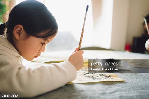 practicing chinese calligraphy at home - chinese script stock pictures, royalty-free photos & images