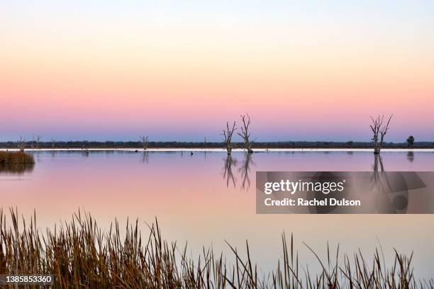 lake bonney, south australia - lake horizon stock pictures, royalty-free photos & images