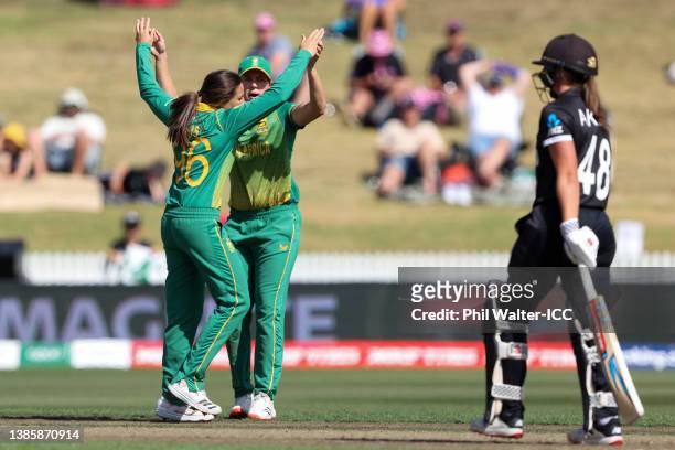 Sune Luus of South Africa celebrates with Tazmin Brits after taking the wicket of Amelia Kerr of New Zealand during the 2022 ICC Women's Cricket...