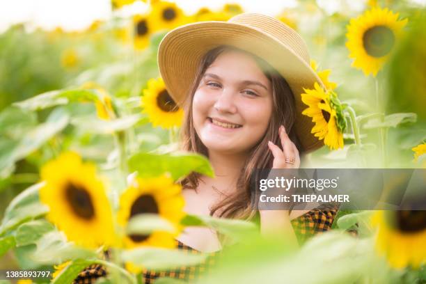 cuban girl on sunflower field - daisy family stock pictures, royalty-free photos & images