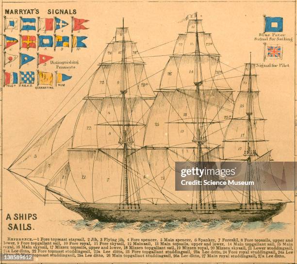 37 Marryat Stock Photos, High-Res Pictures, and Images - Getty Images