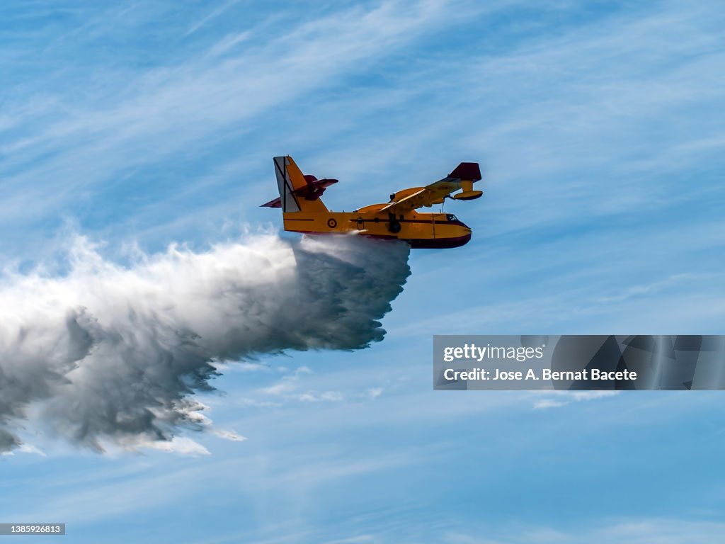 Canadair CL-215 amphibious seaplane, above the sky discharging water in a forest fire.