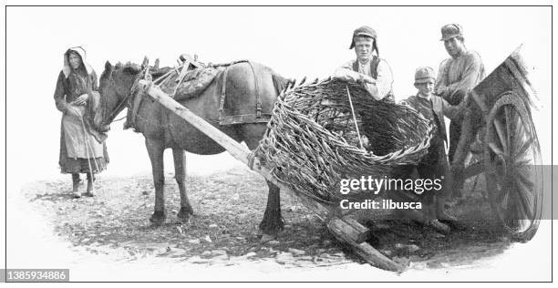 antique travel photographs of ireland - ireland landscape stock illustrations