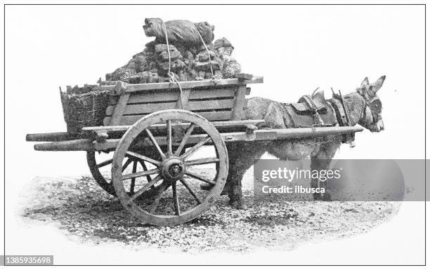 antique travel photographs of ireland: turf cart - ireland landscape stock illustrations