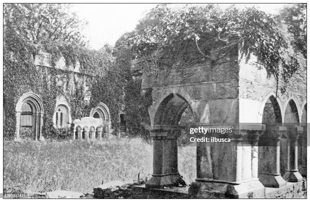 Antique travel photographs of Ireland: Abbey of Cong
