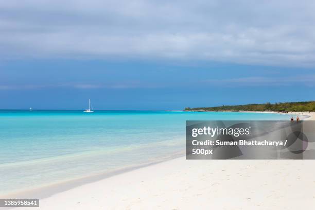 scenic view of people walking on shoreline at clear water beach against blue sky,nassau,bahamas - nassau beach stock pictures, royalty-free photos & images