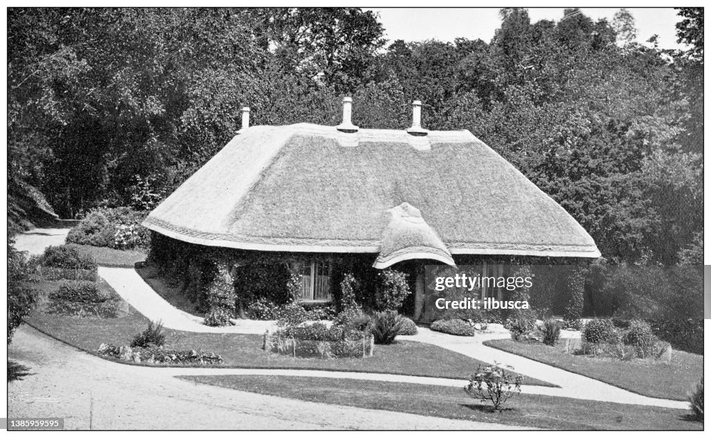 Antique travel photographs of Ireland: Ross Island, Killarney
