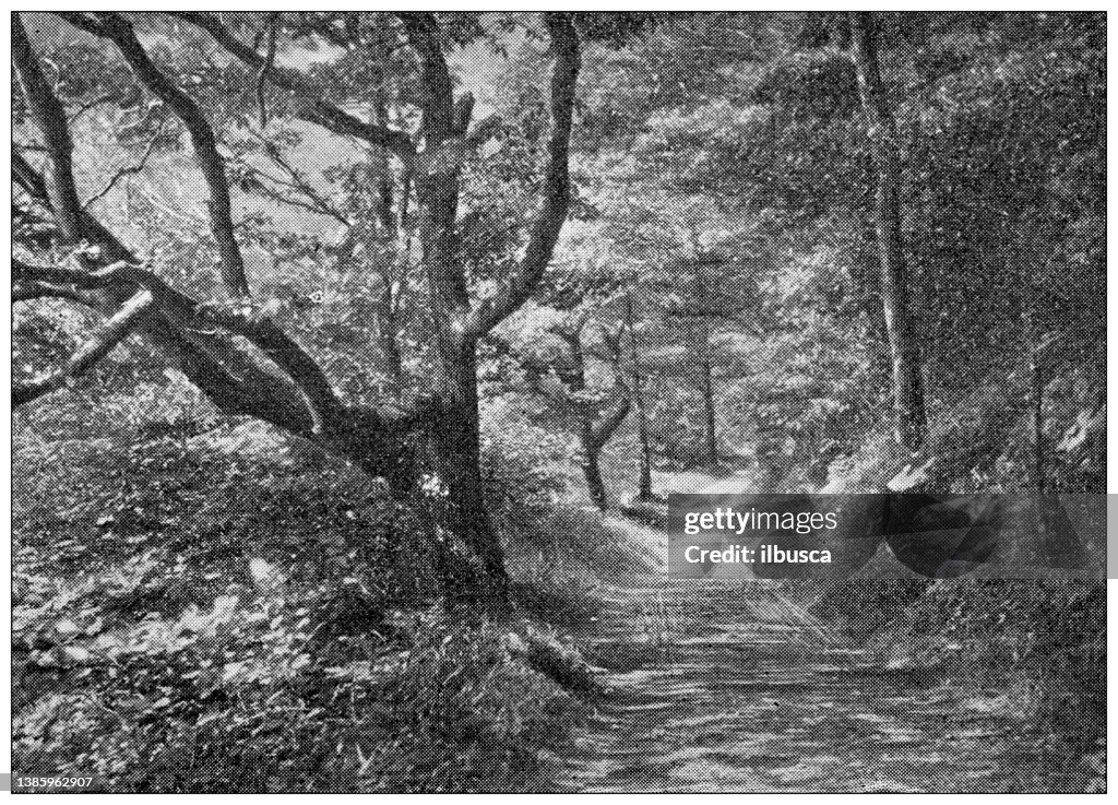 Antique travel photographs of Ireland: County Wicklow
