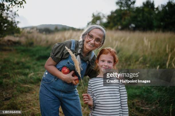 grandmother with granddaughter outdoors in field looking at camera. - frau apfel stock-fotos und bilder