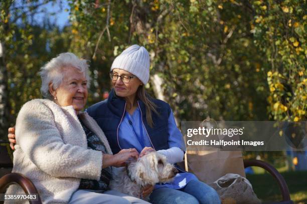 senior woman with dog and caregiver sitting on bench outdoors in town. - patient resting stock pictures, royalty-free photos & images