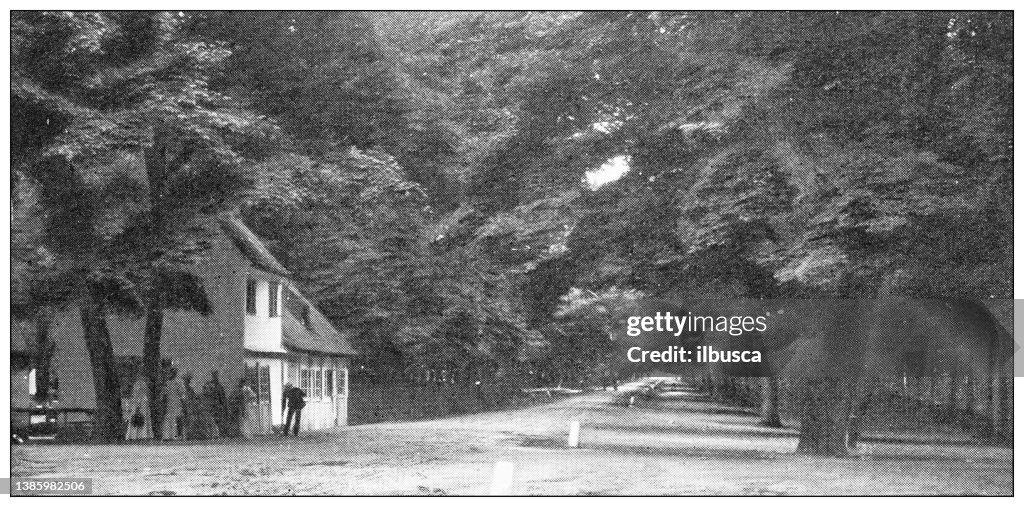Antique travel photographs of Denmark: Deer Park