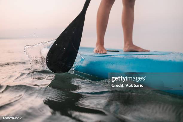 oar of paddle boarder - paddle board men imagens e fotografias de stock