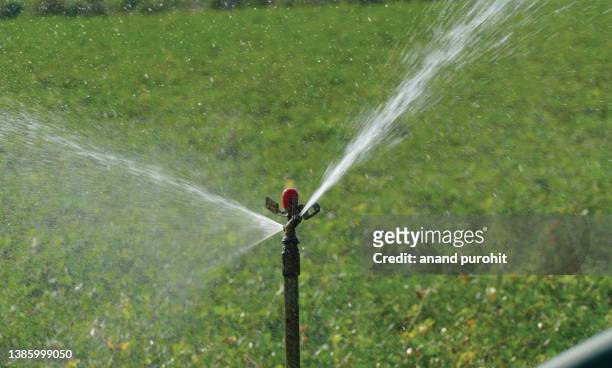 farm irrigations - sprinkler - agricultural sprinkler stock pictures, royalty-free photos & images