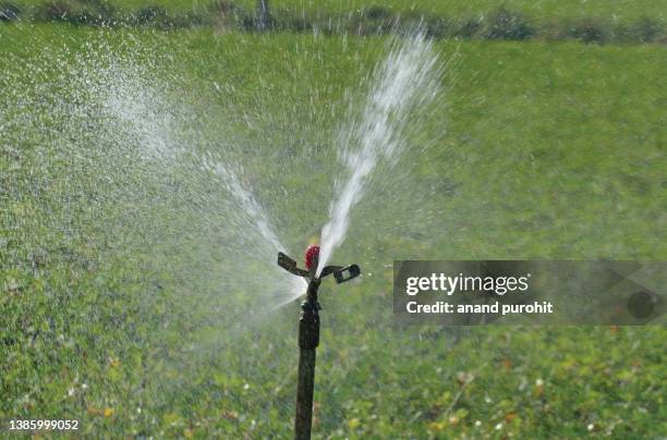 farm irrigations - sprinkler - agricultural sprinkler stock pictures, royalty-free photos & images