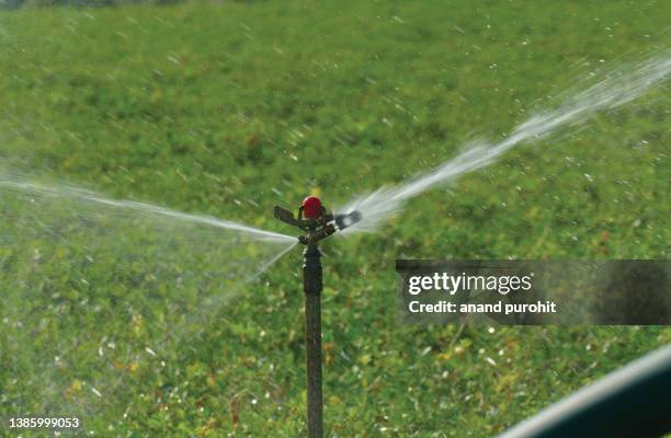 farm irrigations - sprinkler - agricultural sprinkler stock pictures, royalty-free photos & images