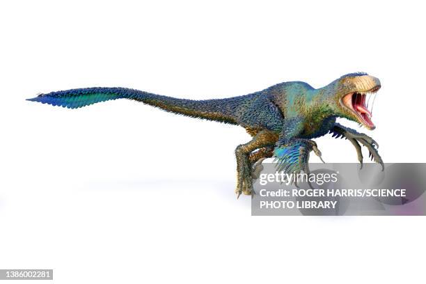 1 409点の恐竜 足のストックフォト Getty Images 1 409点の恐竜 足のストックフォト Getty Images