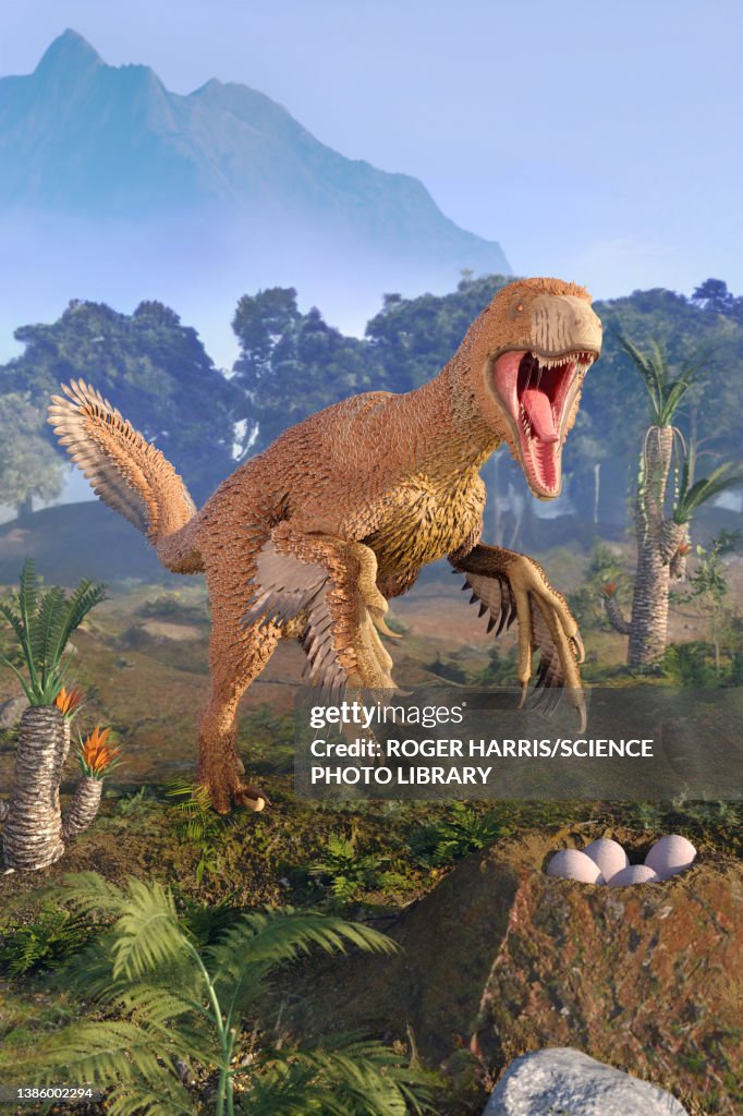 Dakotaraptor dinosaur, illustration