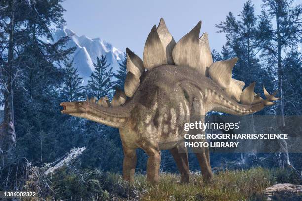 bildbanksillustrationer, clip art samt tecknat material och ikoner med stegosaurus dinosaur, illustration - stegosaurus