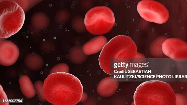 illustrazioni stock, clip art, cartoni animati e icone di tendenza di red blood cells in a human artery, illustration - sangue umano