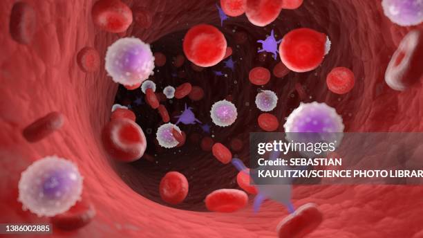 human blood, illustration - platelet stock illustrations