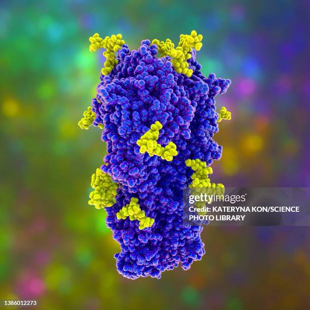 haemagglutinin from h3n2 1968 influenza virus, illustration - h3n2 stock illustrations