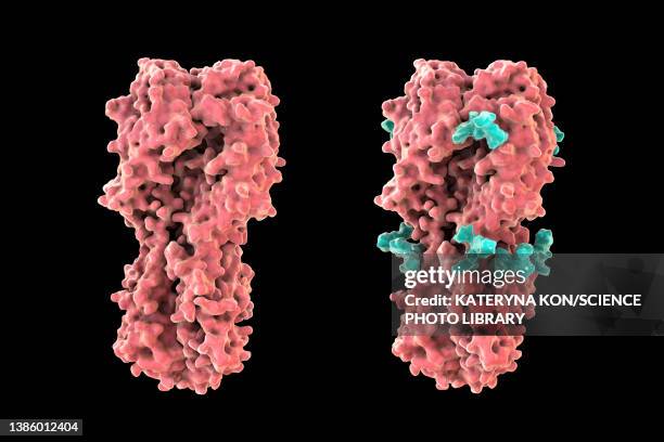 haemagglutinin from h7n9 2013 influenza virus, illustration - influenza a virus subtype h7n9 stock illustrations