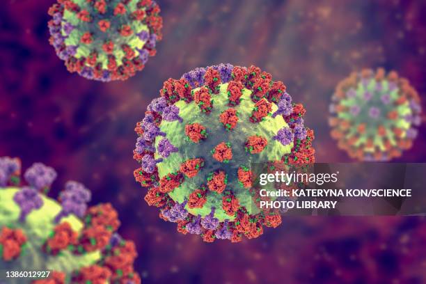 flu virus, illustration - flu virus stock-grafiken, -clipart, -cartoons und -symbole