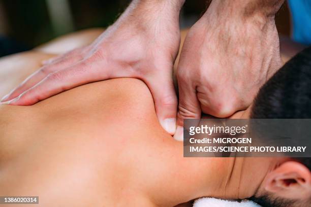 physiotherapist massaging patient's shoulder - escapula fotografías e imágenes de stock