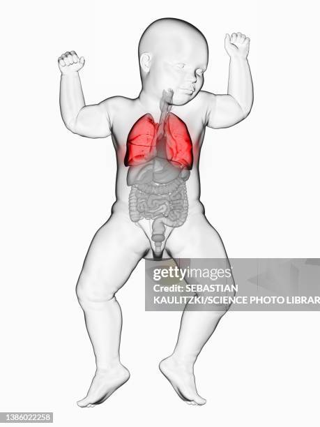 illustration of a baby's lung - copd stages stock illustrations