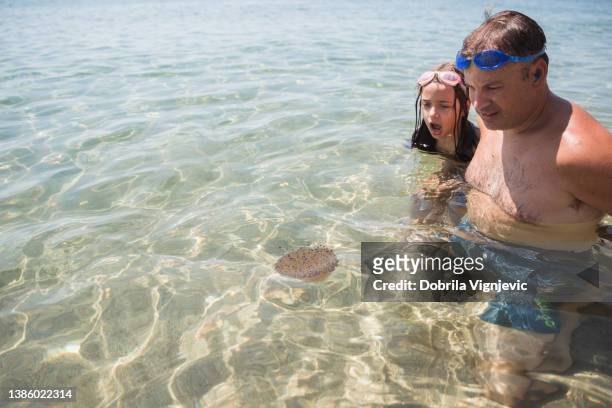 scared young girl hiding behind her dad when jellyfish is floating their way at the sea - pretty girls in swimsuits bildbanksfoton och bilder